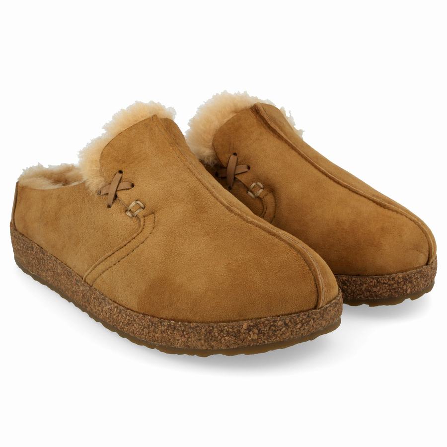 Haflinger Saskatchewan Donna Zoccoli Marroni | FTD4247BS